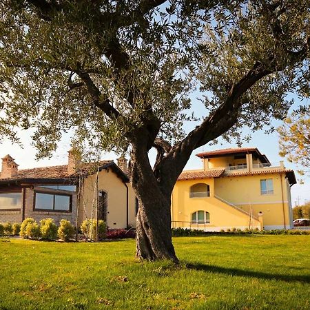 Agriturismo Biocore 2 - Colledoro Giulianova Esterno foto