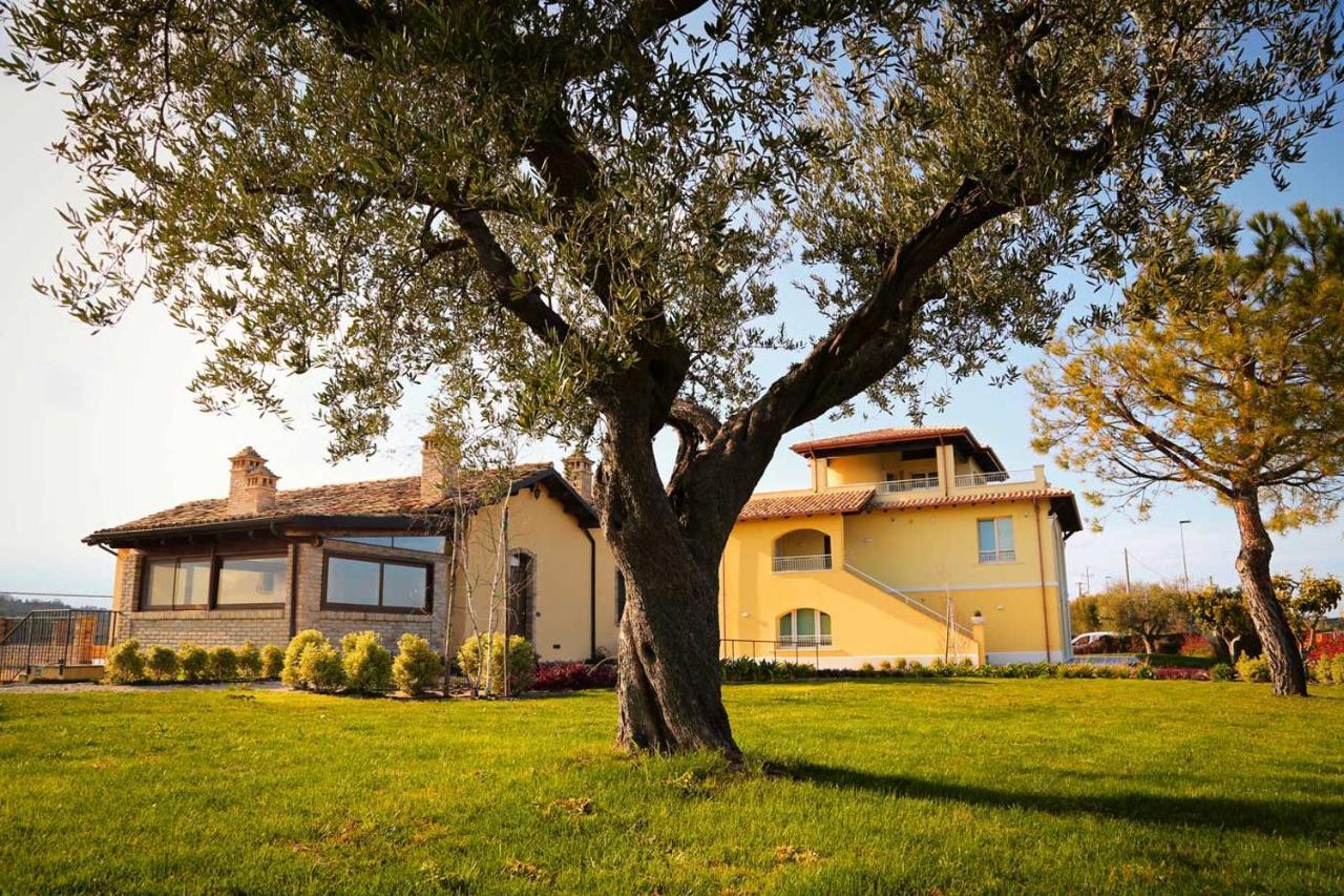 Agriturismo Biocore 2 - Colledoro Giulianova Esterno foto